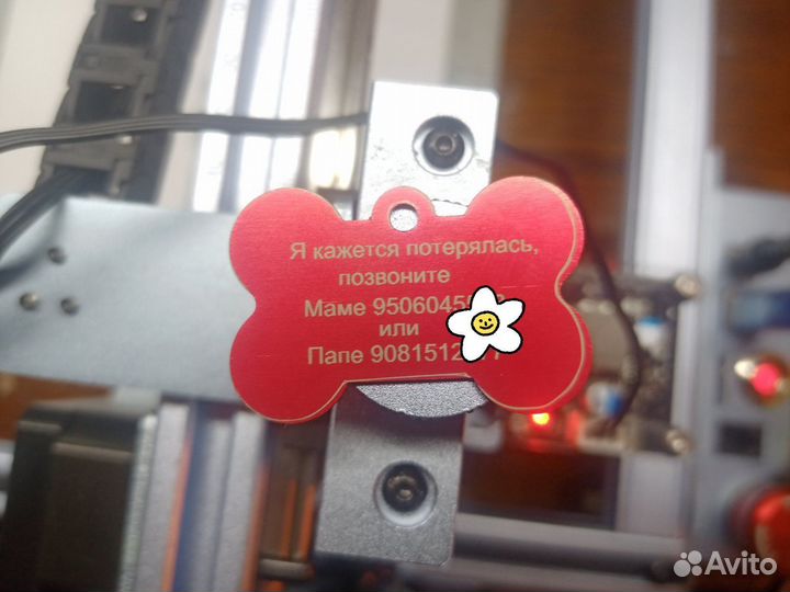 Адресники для домашних питомцев