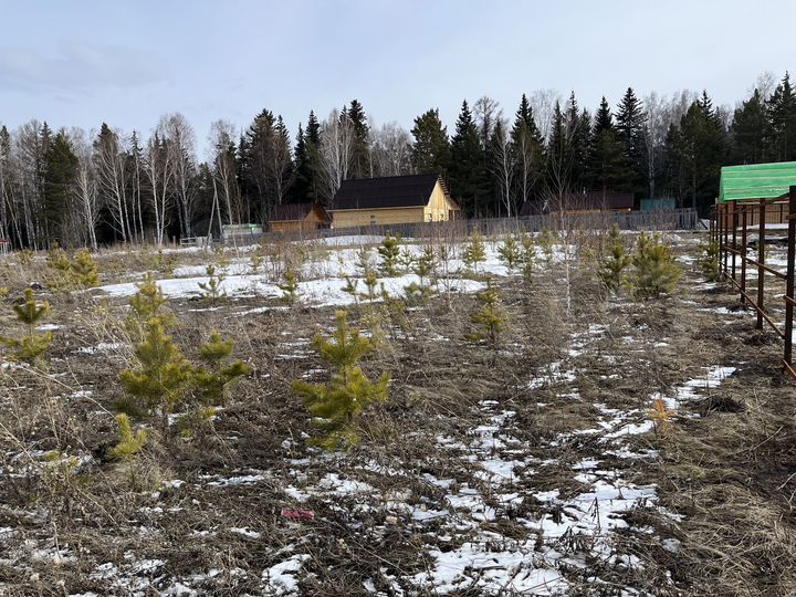 Участок 27,7 сот. (СНТ, ДНП)