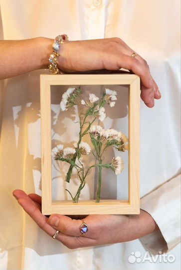 Гербарий в стекле