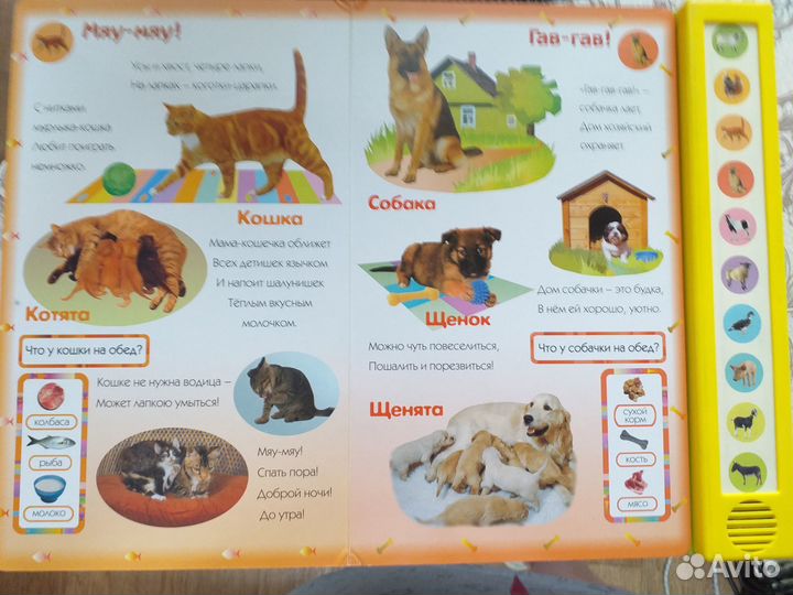 Домашние друзья с голосами животных