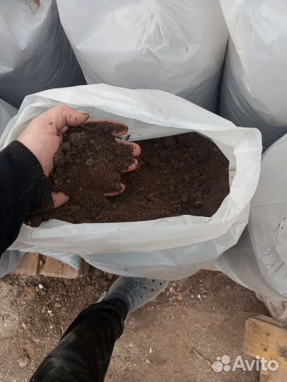 Перегной чернозём