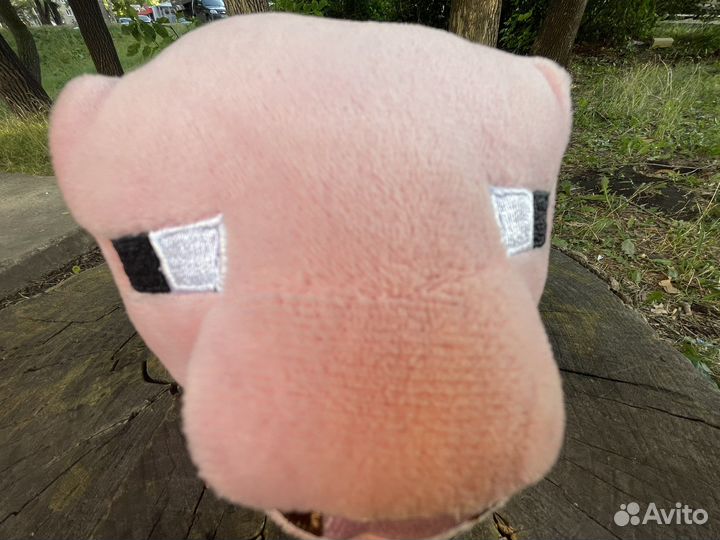 Дикий свин (Китайский)