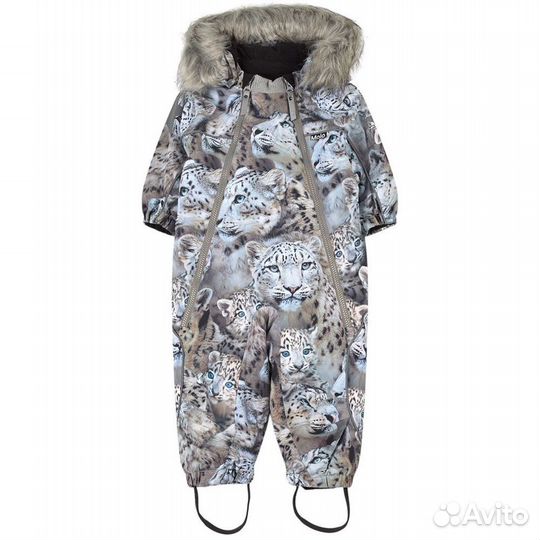 Molo pyxis snowy leopards 86