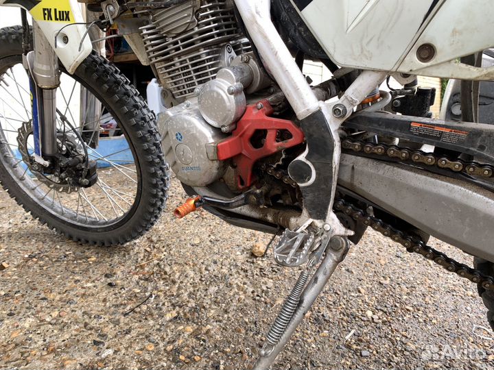 Avantis fx 250 lux