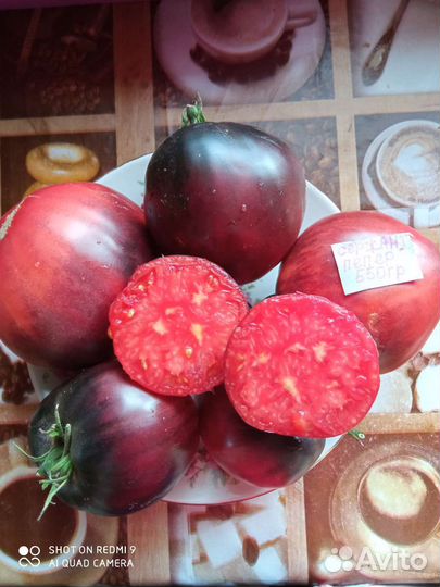 Семена томатов и перцев