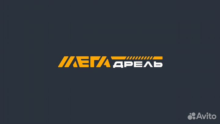 Помощник ревизора