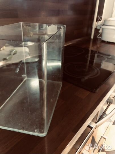 Аквариум отсадник 9л