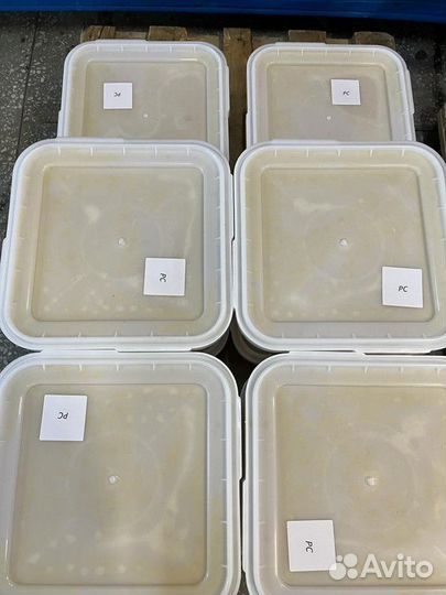 Донниковый мёд Качка 2023 г Опт