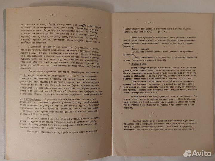 Проведение комплексных экскурсий в природу 1981 г