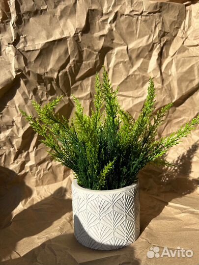 Декоративная зелень в гипсовом кашпо