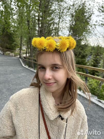 Объясню любую тему из школьной биологии