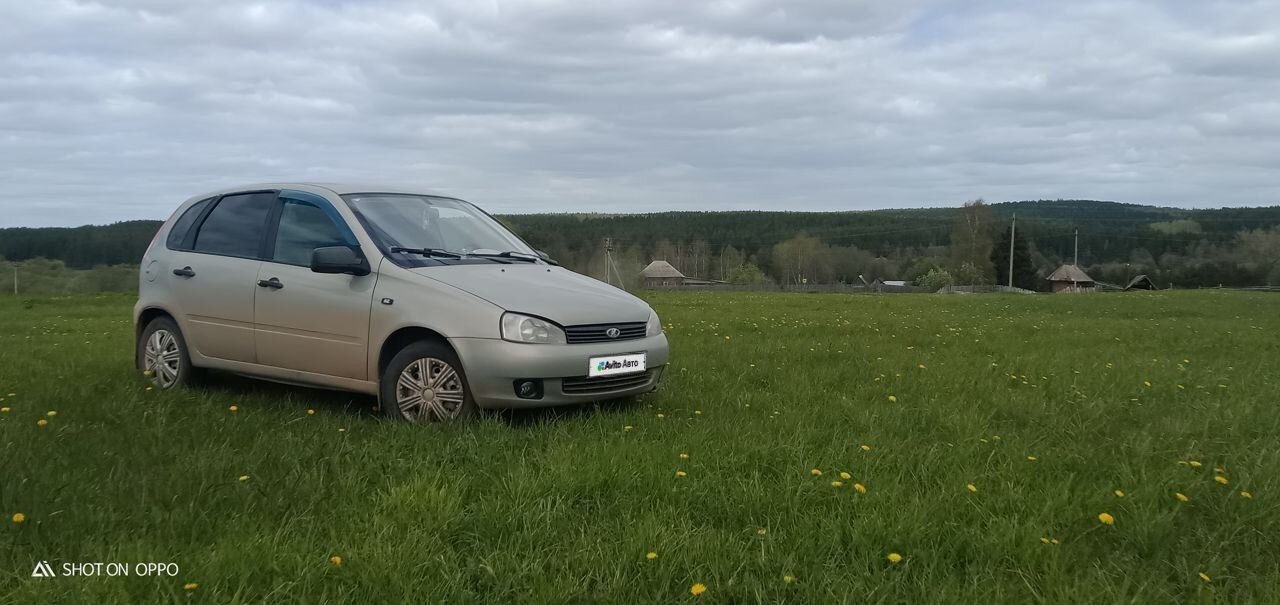 ВАЗ (LADA) Kalina: фото владельца
