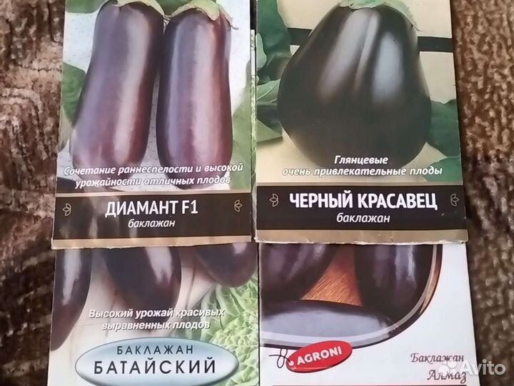 Продам рассаду томатов, перца, огурца, боклажана