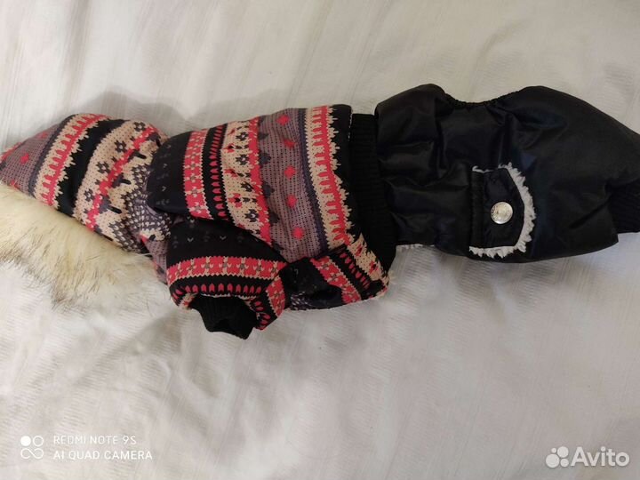 Одежда для маленьких собак