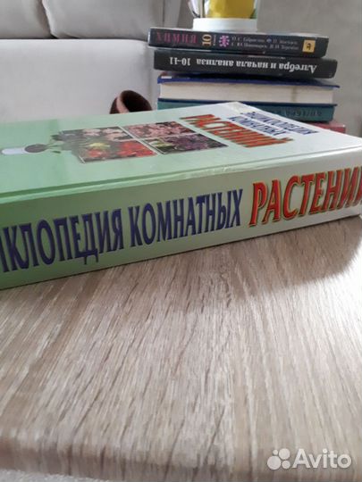 Энциклопедия комнатных растений