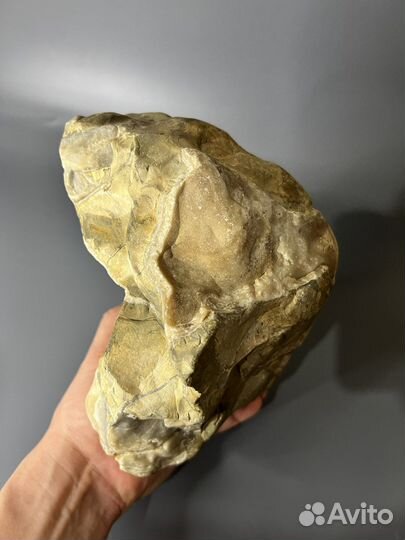 Септария с желтым кальцитом