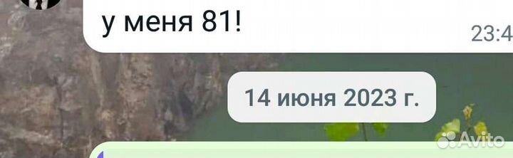 Репетитор по русскому языку