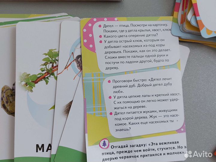 Развивающие карточки, домино, магнитная книга