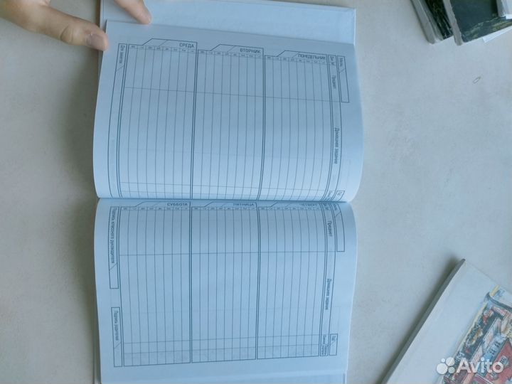 Дневник в школу