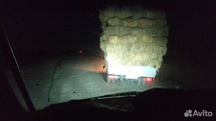 Сено в тюках