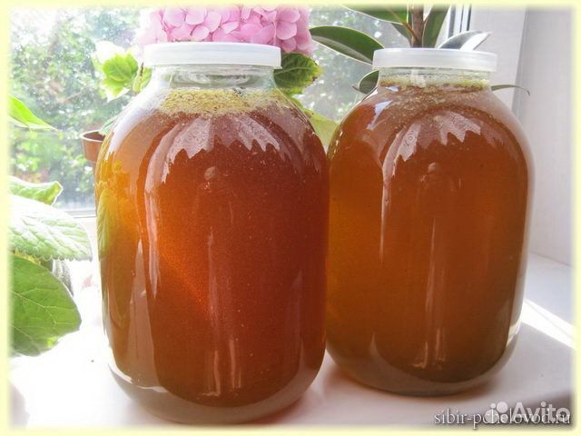 «Мёд свежий Прополис пыльца мёд в сотах »