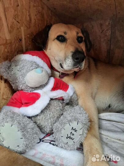 В надежде на любовь