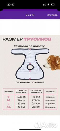 Трусы для собак