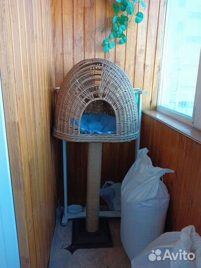 Когтеточка домик