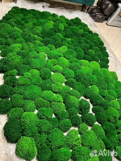 Насыщенный стабилизированный мох от производителя