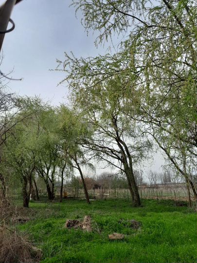 Участок 15 сот. (ИЖС)