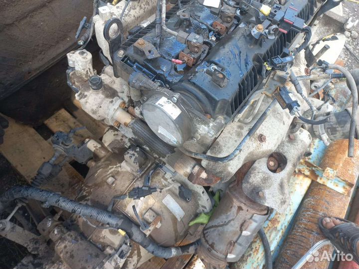 Двиготель hyundai D4CB