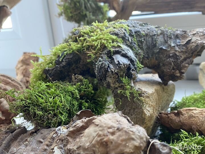 Для террариума