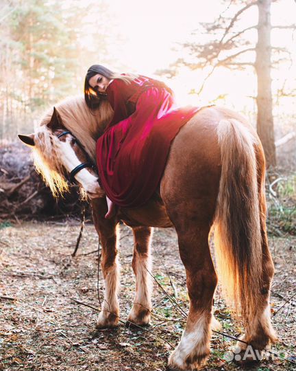 Конные прогулки