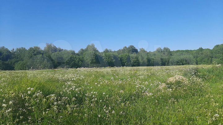 Участок 8 сот. (СНТ, ДНП)