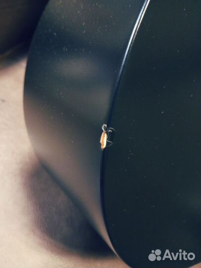 Гитары корт с дефектами