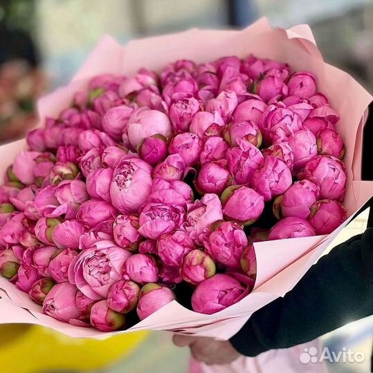 Пионы Букеты Цветы Доставка