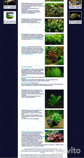 Аквариумные растения филиал Беляево ассортимент