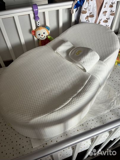 Кокон зевушка