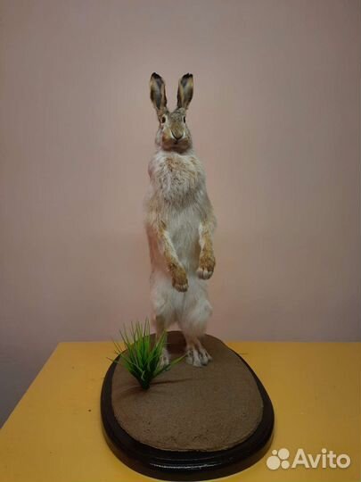 Заяц имитация