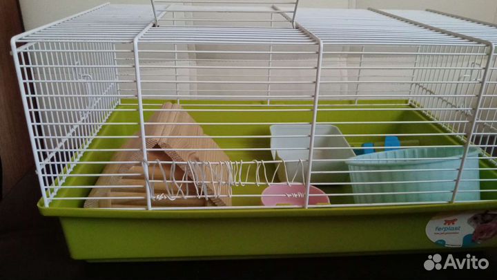 Клетка для хомяка + переноска + корм и т.д