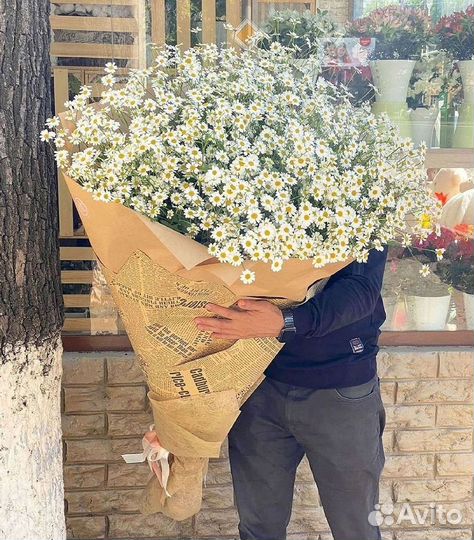 Букеты ромашек