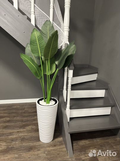 Стрелиция искусственная