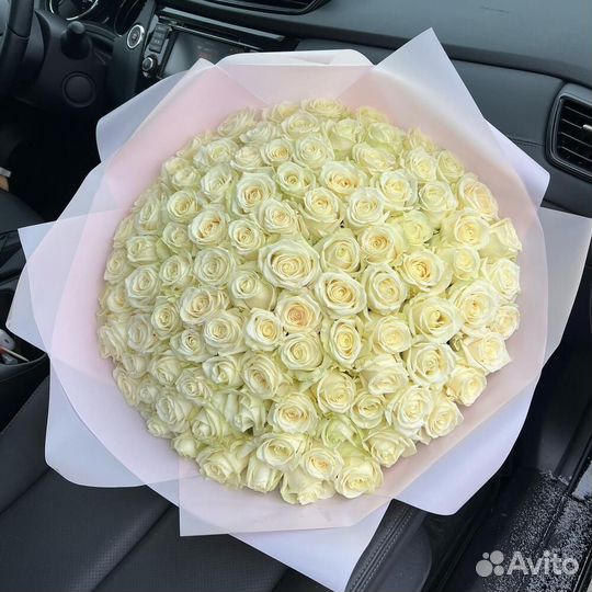 101 роза цветы букеты доставка 25 51 101 роза