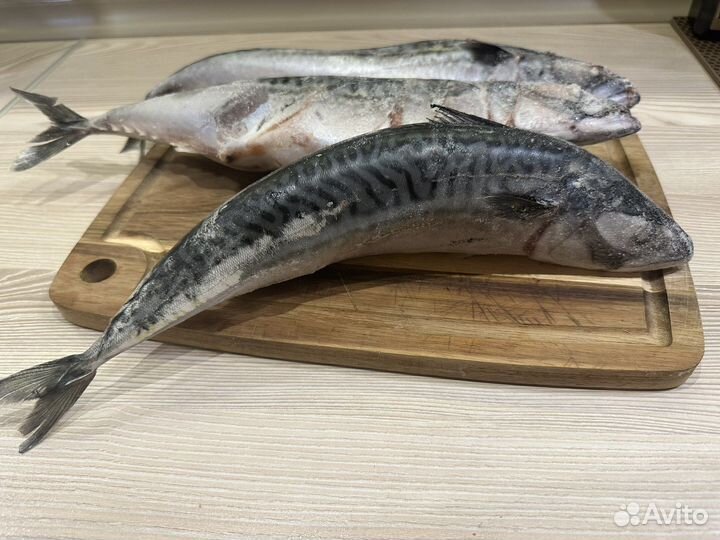 Скумбрия Атлантическая свежемороженая