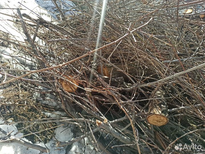 Чурбаки фрукт деревьев для мангала шашлыка