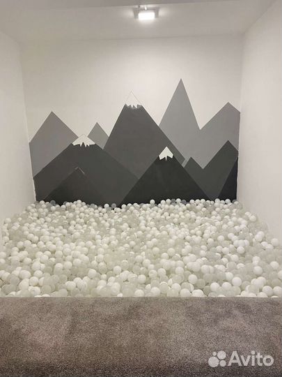 Студия для праздника, фотостудия