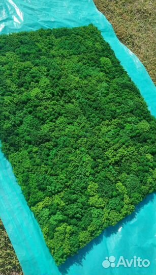 Придайте своему пространству нотку эко-дизайна с п