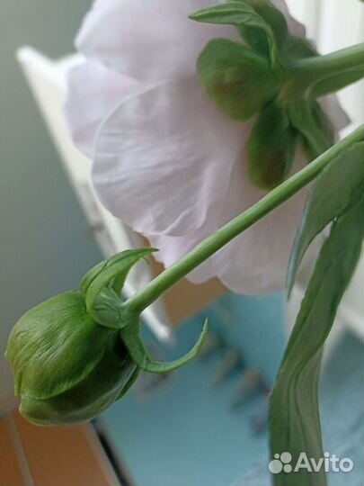 Пионы из холодного фарфора