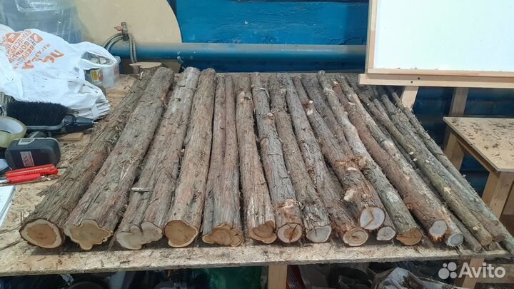 Можжевельник