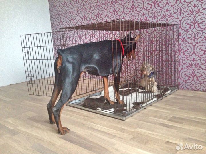 Клетка для собак №5